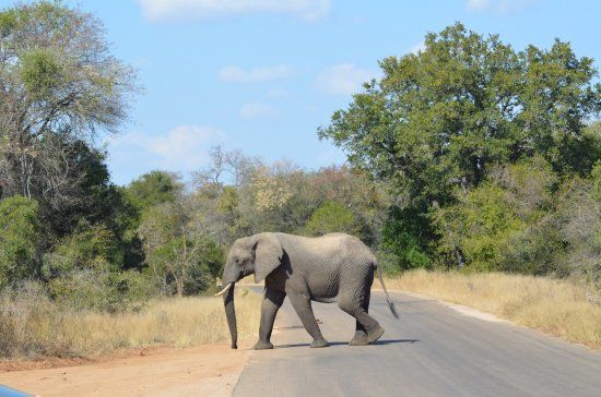 Pabeni Gate Kruger National Park